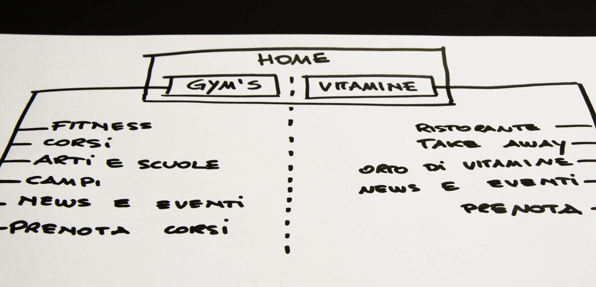 big_wireframe_gyms-vitamine